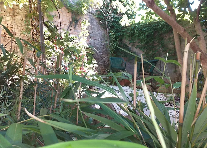 Maison Berrichonne 2 Chambres Cour Et Jardin
