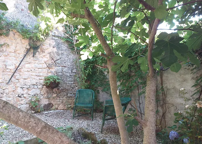 Maison Berrichonne 2 Chambres Cour Et Jardin