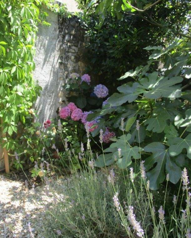 Maison Berrichonne 2 Chambres Cour Et Jardin Saint-Marcel (Indre)
